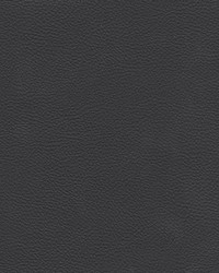 Catalyst-nj 528 Storm by   