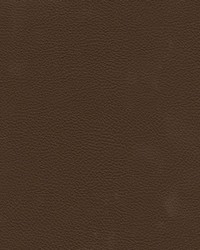 Catalyst-nj 529 Fudge by   