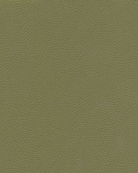 Catalyst-nj 530 Sage by   