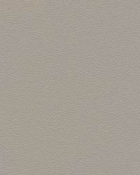 Catalyst-nj 531 Castor by   