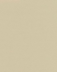 Catalyst-nj 532 Cream by   