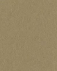 Catalyst-nj 533 Rattan by   