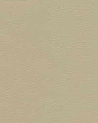 Catalyst-nj 534 Sahara by   