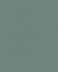 Catalyst-nj 536 Mist by   