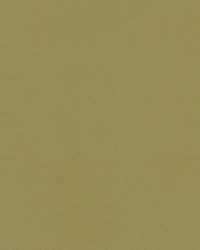 Chianti-nj 1100 Caper by   