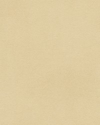 Chianti-nj 1104 Sandstone by   