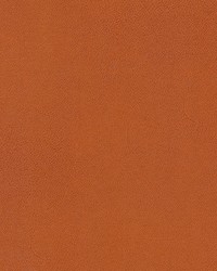 Chianti-nj 1106 Cinammon by   