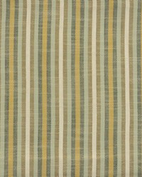 Colonnade 908 Campground by  Maxwell Fabrics 