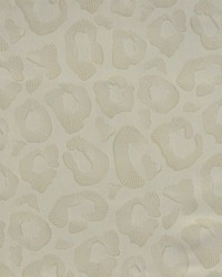 Coquina 828 Cloud by   