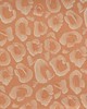 Maxwell Fabrics COQUINA # 919 PEACH