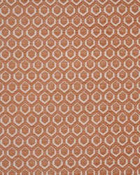 Cadboro 804 Carnation by  Michael Jon Designs 