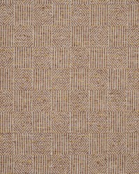 Chenin 822 Raisin by  Michael Jon Designs 