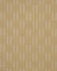 Conifer 707 Butterscotch by   