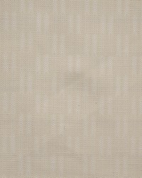 Conifer 745 Nougat by   