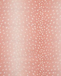 Chital 737 Azalea by  Scalamandre 