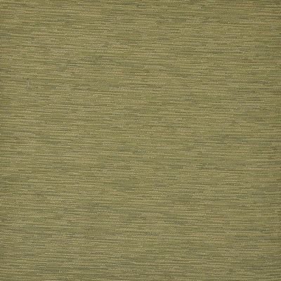 Dryden 59 Grass in PURE & SIMPLE IV Green POLYESTER/ Fire Rated Fabric Medium Duty NFPA 701 Flame Retardant   Fabric