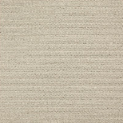 Darwin 710 Linen in PURE & SIMPLE VII Beige Multipurpose POLYESTER  Blend Fire Rated Fabric Heavy Duty Solid Faux Silk  CA 117  NFPA 260  NFPA 701 Flame Retardant   Fabric