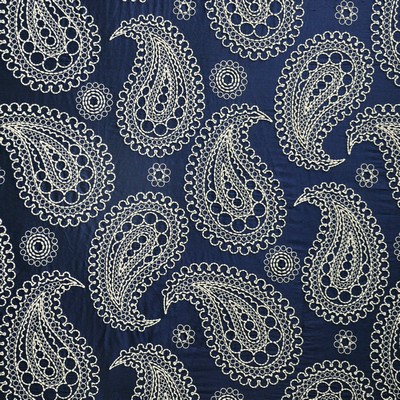 Deveaux 303 Desoto in TELAFINA XIV Drapery SILK
EMB-  Blend Classic Paisley  Embroidered Silk  Modern and Contemporary Silk   Fabric