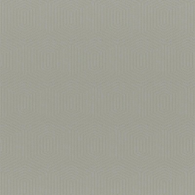 Dais 608 Hunter in WIDE-WIDTH DRAPERY II POLYESTER/37%  Blend Fire Rated Fabric Geometric  CA 117   Fabric