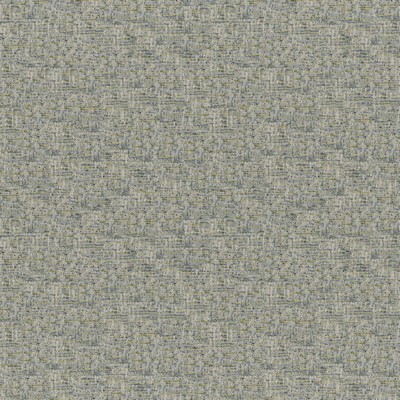 Dario 829 Agate in COLORGUARD - AMAZONIA POLYESTER/17%  Blend Heavy Duty Woven   Fabric