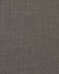 Daintree 504 Chia by  Maxwell Fabrics 