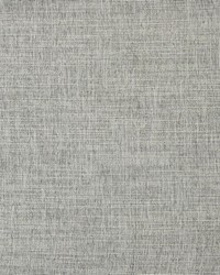 Daintree 524 Metal by  Maxwell Fabrics 