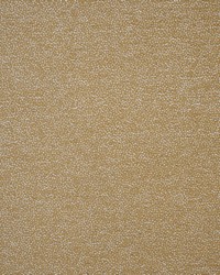 Dolcetto 709 Camel by   