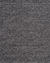 Dolcetto 733 Penguin by   