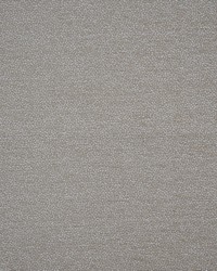 Dolcetto 747 Buff by   