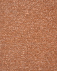 Dolcetto 811 Campari by  Michael Jon Designs 