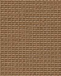 Del Mar-nj 110 Fawn by   