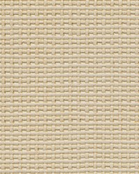 Del Mar-nj 117 Pearl by   