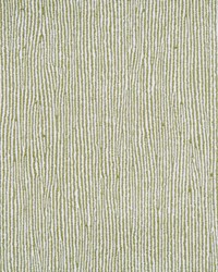 Devoe 915 Grass by  Lee Jofa 