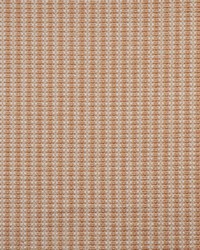 Dobbin 803 Apricot by  Lee Jofa 