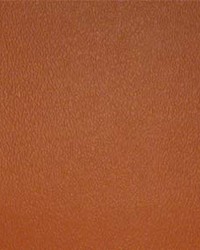 Esprit 012 British Tan by  Maxwell Fabrics 