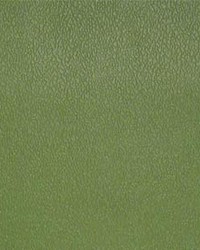 Esprit 046 Olive Green by  Maxwell Fabrics 