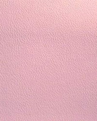 Esprit 050 Pink by   