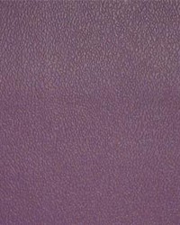 Esprit 053 Purple Iris by  Maxwell Fabrics 