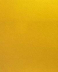 Esprit 064 Sun Yellow by   