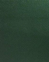 Esprit 075 Yew Green by  Maxwell Fabrics 