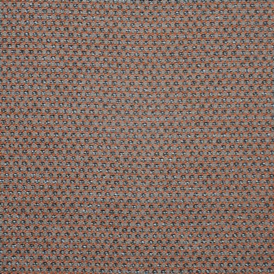 Espinosa 728 Rust in PERFORMANCE WOVENS-PAINTBRUSH Orange Upholstery POLYACRYLIC/31%  Blend High Wear Commercial Upholstery  Fabric