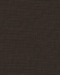 Elite-nj 938 Godiva by   