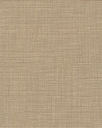 Elite-nj 943 Cashew by   