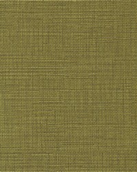 Elite-nj 948 Grass by   