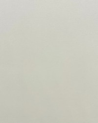 Electra 220 Winter White by   