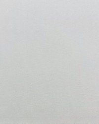 Electra 224 Jasmine by   