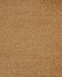 Emerson 843 Pecan by  Lee Jofa 