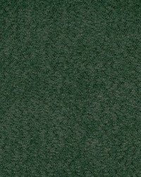 Emerson 920 Spruce by  Lee Jofa 