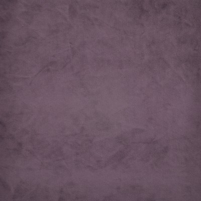 Firenze 526 Lupin in PERFORMANCE VELVET-VOL.II Purple Multipurpose POLYESTER  Blend High Wear Commercial Upholstery Fire Retardant Velvet and Chenille  CA 117  NFPA 260  Solid Velvet   Fabric