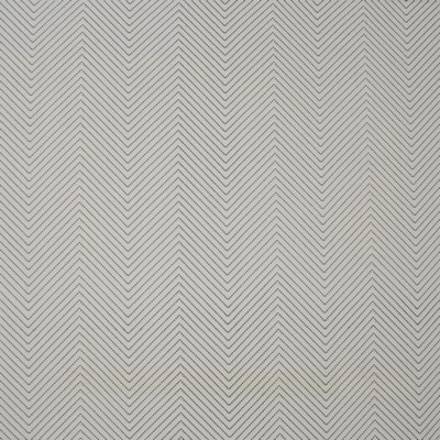 Fast Forward 103 Pebble in COLOR WAVES-NEUTRAL TERRITORY Drapery POLYESTER/30%  Blend Herringbone   Fabric